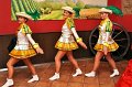 P_Party2011   057